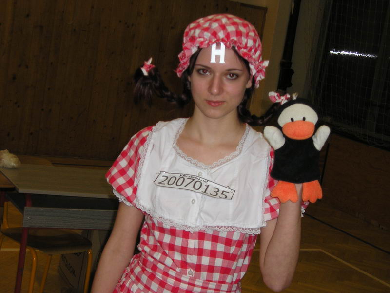 Obrázek